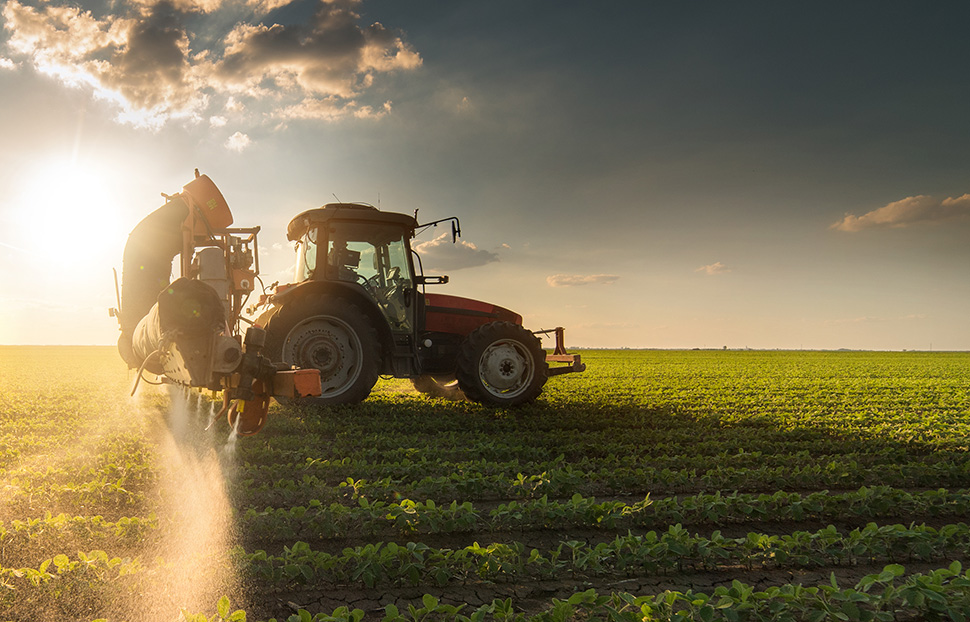 Farm Sprayer in soybean field spraying fertilizer